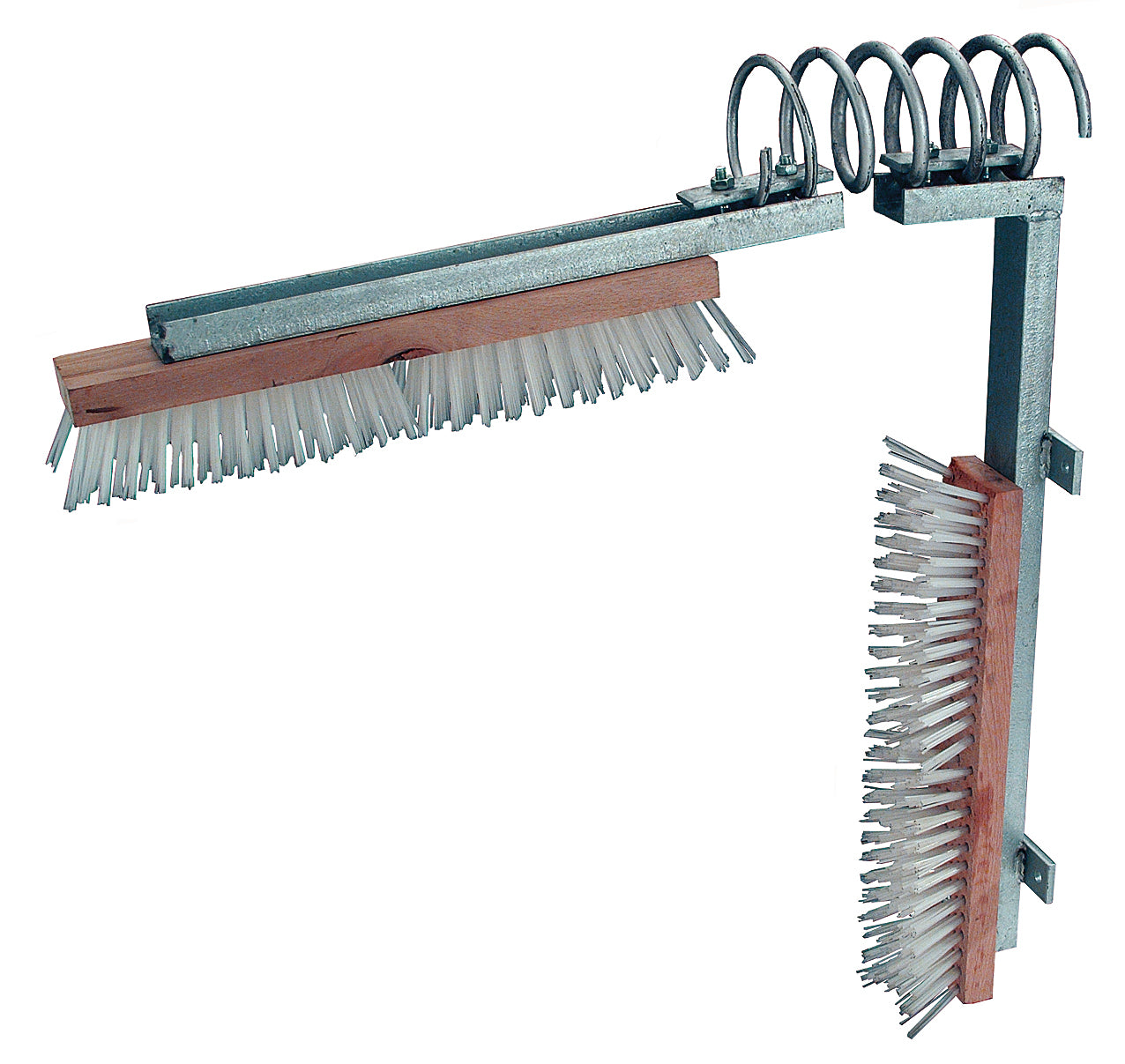 Rücken,- und Flankenscheuerleiste - Bürste mit Holzrücken