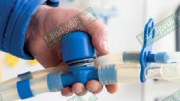 Milchschlauch- Vakuumunterbrecher