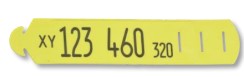 Fesselband 100 Stk. mit individueller Laserbeschriftung (Bild mit Beispielbeschriftung) (2,20€/Stk)