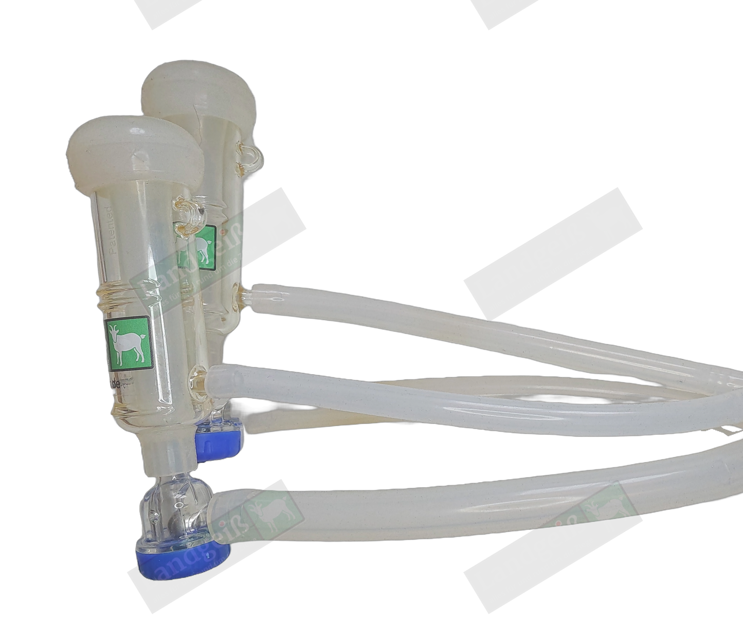 Landgeiß Eimermelkanlage für Ziegen "Anton“